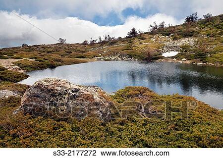 Chica Lagoon in Pealara Natural Park. Sierra de Guadarrama. Madrid. Spain. View Large Photo Image Stock Image - Chica Lagoon in Pealara Natural Park. Sierra de Guadarrama. Madrid. Spain.. Fotosearch