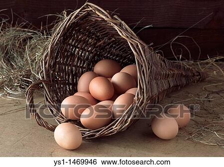 Chicken Eggs in Basket View Large Photo Image Stock Photograph - Chicken Eggs in Basket. Fotosearch