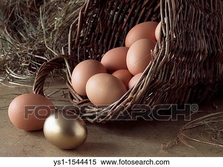 Stock Photography - Chicken Eggs in Basket, Symbolic Image for Gold Egg with Hen. Fotosearch