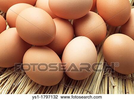 Chicken Eggs View Large Photo Image Stock Image - Chicken Eggs. Fotosearch