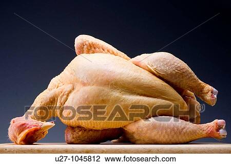 Chicken View Large Photo Image Stock Image - Chicken. Fotosearch