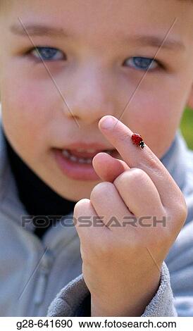 Stock Image - Child 5 years old and ladybird.. Fotosearch
