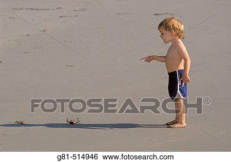 Stock Photograph - Child (age 2) pointing at dead crab on Sand Dollar Beach, Big Sur Coast, California. Fotosearch