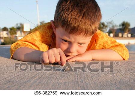 Child and Lizard View Large Photo Image Stock Photo - Child and Lizard. Fotosearch