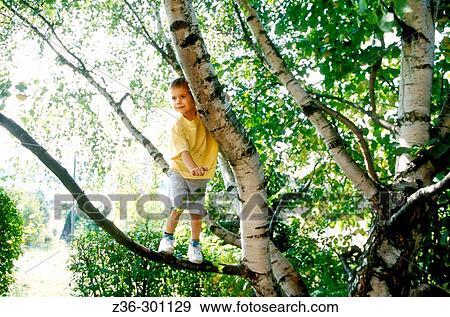 Stock Photo - Child boy stands on branch. Fotosearch