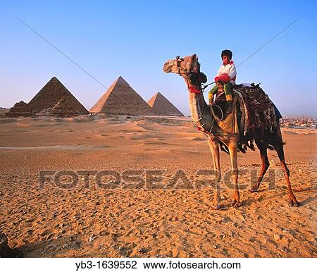 Child camel rider, The Pyramids, Cairo, Egypt, View Large Photo Image Stock Image - Child camel rider, The Pyramids, Cairo, Egypt,. Fotosearch
