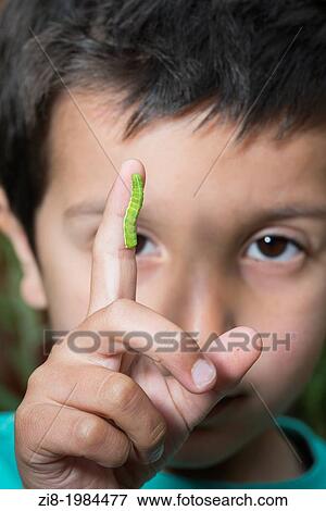 Child plays with caterpillar View Large Photo Image Stock Photo - Child plays with caterpillar. Fotosearch