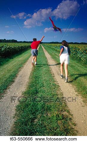 Children flying kite along a sunflower field View Large Photo Image Stock Photograph - Children flying kite along a sunflower field. Fotosearch