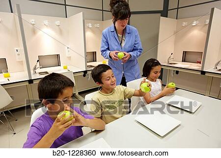 Children in apple tasting session tutored by a sensory analysis specialist, AZTI-Tecnalia Marine and Food Research Center, Derio, Bizkaia, Euskadi, Spain View Large Photo Image Stock Image - Children in apple tasting session tutored by a sensory analysis specialist, AZTI-Tecnalia Marine and Food Research Center, Derio, Bizkaia, Euskadi, Spain. Fotosearch
