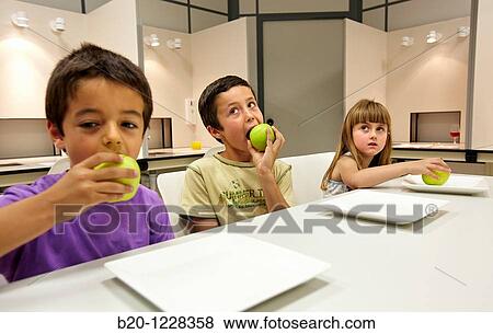 Children in apple tasting session tutored by a sensory analysis specialist, AZTI-Tecnalia Marine and Food Research Center, Derio, Bizkaia, Euskadi, Spain View Large Photo Image Stock Photo - Children in apple tasting session tutored by a sensory analysis specialist, AZTI-Tecnalia Marine and Food Research Center, Derio, Bizkaia, Euskadi, Spain. Fotosearch