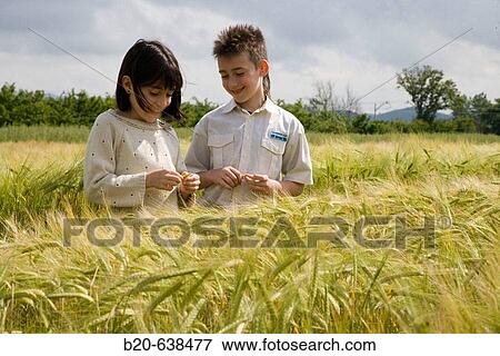 Children in grain field. Arkaute, Alava, Euskadi, Spain View Large Photo Image Stock Photo - Children in grain field. Arkaute, Alava, Euskadi, Spain. Fotosearch