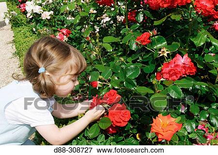 Children View Large Photo Image Stock Photo - Children. Fotosearch