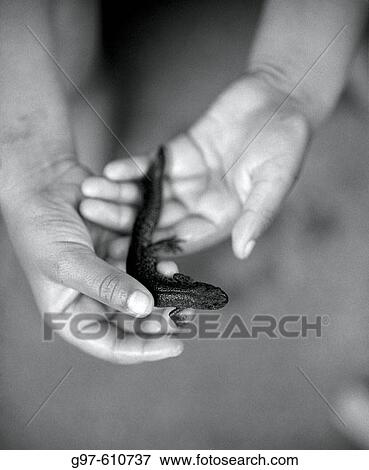Children View Large Photo Image Stock Photo - Children. Fotosearch