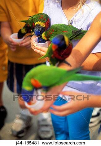 Children with birds View Large Photo Image Stock Image - Children with birds. Fotosearch