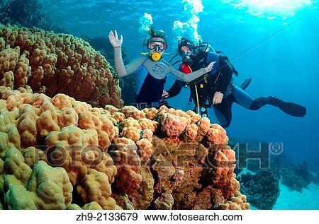 children's diving, Red Sea, Egypt, Africa. View Large Photo Image Stock Photo - children's diving, Red Sea, Egypt, Africa.. Fotosearch
