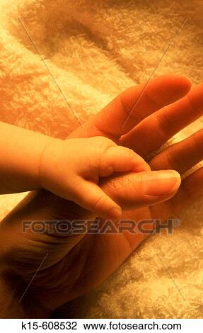 Child's hand holding mother's thumb View Large Photo Image Stock Image - Child's hand holding mother's thumb. Fotosearch