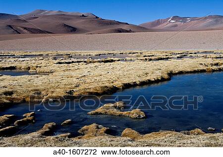 Chile. Atacama desert. Quepiaco river. View Large Photo Image Stock Image - Chile. Atacama desert. Quepiaco river.. Fotosearch