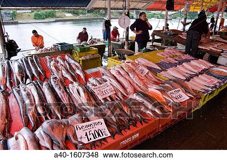 Chile. Valdivia city. The Rivers district. Fish market. View Large Photo Image Stock Photo - Chile. Valdivia city. The Rivers district. Fish market.. Fotosearch