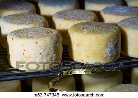 Chilli pepper flavoured cow cheese season in the seasoning room, province of Caserta, Campania, Italy View Large Photo Image Stock Photography - Chilli pepper flavoured cow cheese season in the seasoning room, province of Caserta, Campania, Italy. Fotosearch