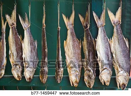 China, Macau, Coloane Island, Coloane Village, drying fish View Large Photo Image Stock Photo - China, Macau, Coloane Island, Coloane Village, drying fish. Fotosearch