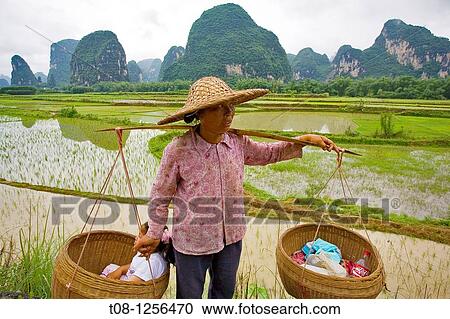 China,, Yangshuo, countryside and rice fields: farmer View Large Photo Image Stock Image - China,, Yangshuo, countryside and rice fields: farmer. Fotosearch