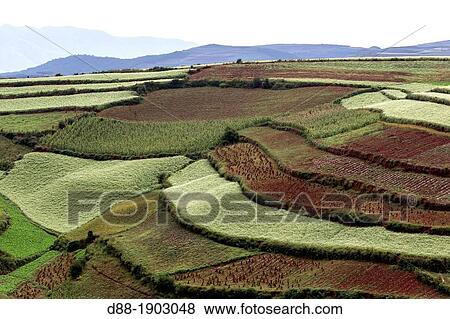 China, Yunnan Province, Kunming Municipality, Dongchuan District, Red lands, Lepuao, terrace cultivation View Large Photo Image Stock Photo - China, Yunnan Province, Kunming Municipality, Dongchuan District, Red lands, Lepuao, terrace cultivation. Fotosearch