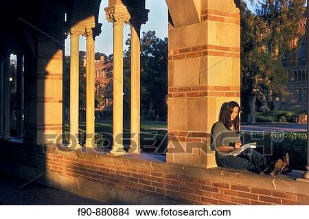 Chinese American law student studies-campus MR View Large Photo Image Picture - Chinese American law student studies-campus MR. Fotosearch