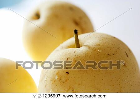 Chinese apple, a fruit from Asia, tastes like pear. View Large Photo Image Stock Photo - Chinese apple, a fruit from Asia, tastes like pear.. Fotosearch