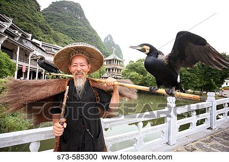Chinese cormorant fisherman. Yangshuo. China. View Large Photo Image Stock Image - Chinese cormorant fisherman. Yangshuo. China.. Fotosearch