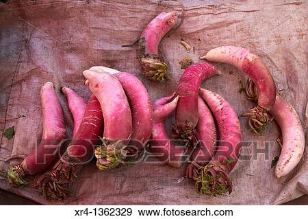 Stock Photo - Chinese Vegetables, Weishan, Dali Bai Autonomous Prefecture, Yunnan, China. Fotosearch