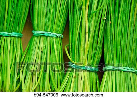 Chives. Mercado de la Boquer? a. Barcelona. Spain. View Large Photo Image Stock Photograph - Chives. Mercado de la Boquer? a. Barcelona. Spain.. Fotosearch