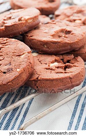 Chocolate chip cookies on cooling rack View Large Photo Image Stock Photograph - Chocolate chip cookies on cooling rack. Fotosearch