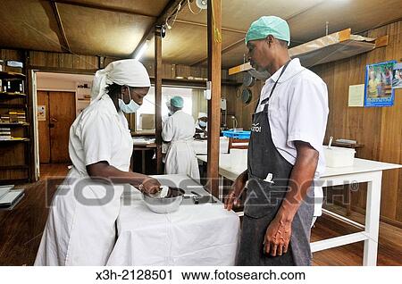 Stock Image - Chocolate making in the laboratory of Claudio Corallo, agronomist, cocoa producer and chocolate maker, city of Sao Tome, Sao Tome Island, Republic of Sao Tome and Principe, Africa.. Fotosearch