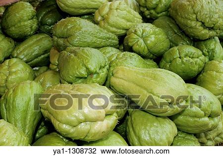 Stock Image - ? Chouchou? vegetable also called christophine (lat: sechium edule, english: chayote), local fruit, Saint Paul market, La Reunion island (France), Indian Ocean. Fotosearch