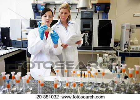 Stock Image - Chromatograph, Physical Chemical Laboratory, Azti-Tecnalia, Marine and Food Research Technological Centre, Derio, Biscay, Basque Country, Spain. Fotosearch