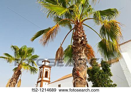 Church of Nuestra Seora de la Antigua, Antigua, Fuerteventura, Las Palmas, Canary Islands, Spain View Large Photo Image Stock Photo - Church of Nuestra Seora de la Antigua, Antigua, Fuerteventura, Las Palmas, Canary Islands, Spain. Fotosearch