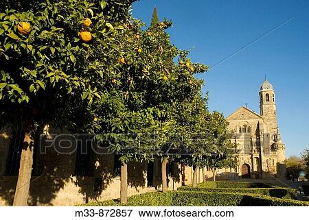 Church of the Salvador (16th century) in Plaza de Vazquez Molina, Ubeda. Jaen province, Andalucia, Spain View Large Photo Image Stock Photo - Church of the Salvador (16th century) in Plaza de Vazquez Molina, Ubeda. Jaen province, Andalucia, Spain. Fotosearch