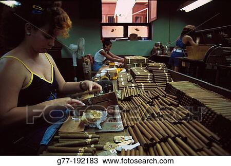 Stock Image - Cigar factory. Cuba. Fotosearch