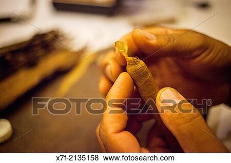 Stock Photo - Cigar shop, making cigars, Punta Cana, Dominican Republic.. Fotosearch