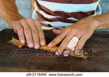Cigars manufactory. Pinar del R? o. Cuba. View Large Photo Image Picture - Cigars manufactory. Pinar del R? o. Cuba.. Fotosearch