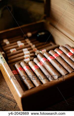 Cigars Partagas Serie D4. La Tupina. The greedy street. Bordeaux. Gironde. Aquitaine. France. Europe. View Large Photo Image Stock Photo - Cigars Partagas Serie D4. La Tupina. The greedy street. Bordeaux. Gironde. Aquitaine. France. Europe.. Fotosearch