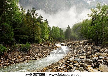 Stock Image - Cinca river and riparian wood with mist, Pineta valley, Ordesa and Monte Perdido National Park.. Fotosearch