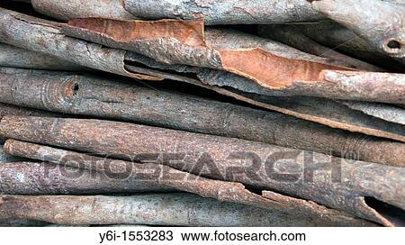 Stock Image - Cinnamon bark quills for grinding into spice market Hoi An Vietnam. Fotosearch