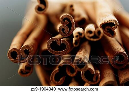 cinnamon sticks - Cinnamomum cassia View Large Photo Image Stock Image - cinnamon sticks - Cinnamomum cassia. Fotosearch