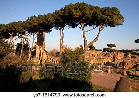 Circus Maximus ruins, Palatine Hill, Rome, Lazio, Italy, Europe View Large Photo Image Stock Image - Circus Maximus ruins, Palatine Hill, Rome, Lazio, Italy, Europe. Fotosearch