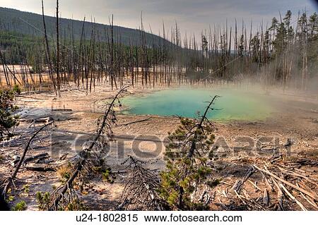 Stock Photography - Cistern Spring, Norris Geyser Basin, Yellowstone National Park, Wyoming, USA. Fotosearch