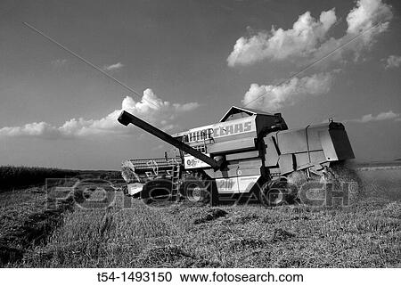 Stock Image - Claas Harvester in a Cornfield. Fotosearch