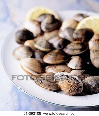 Clams View Large Photo Image Stock Photo - Clams. Fotosearch