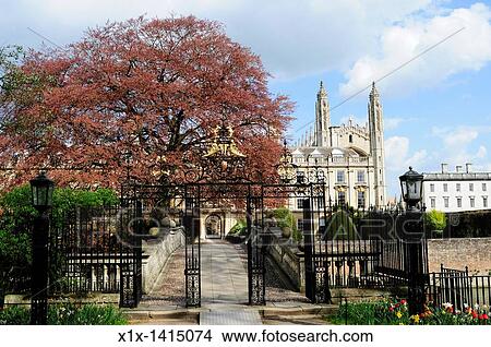 Clare Bridge and Kings College Chapel, Cambridge, England, UK View Large Photo Image Picture - Clare Bridge and Kings College Chapel, Cambridge, England, UK. Fotosearch