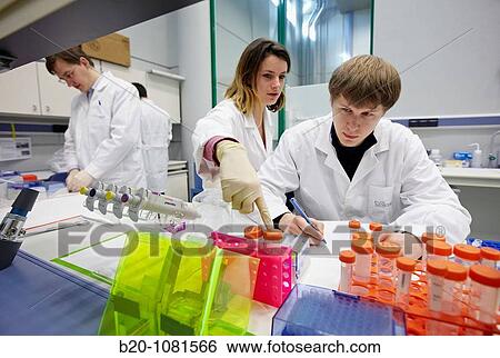 Stock Photograph - Classifying samples, Laboratory of Nanobiotechnology, CIC nanoGUNE, Nanoscience Cooperative Research Center, San Sebastian, Gipuzkoa, Euskadi, Spain. Fotosearch